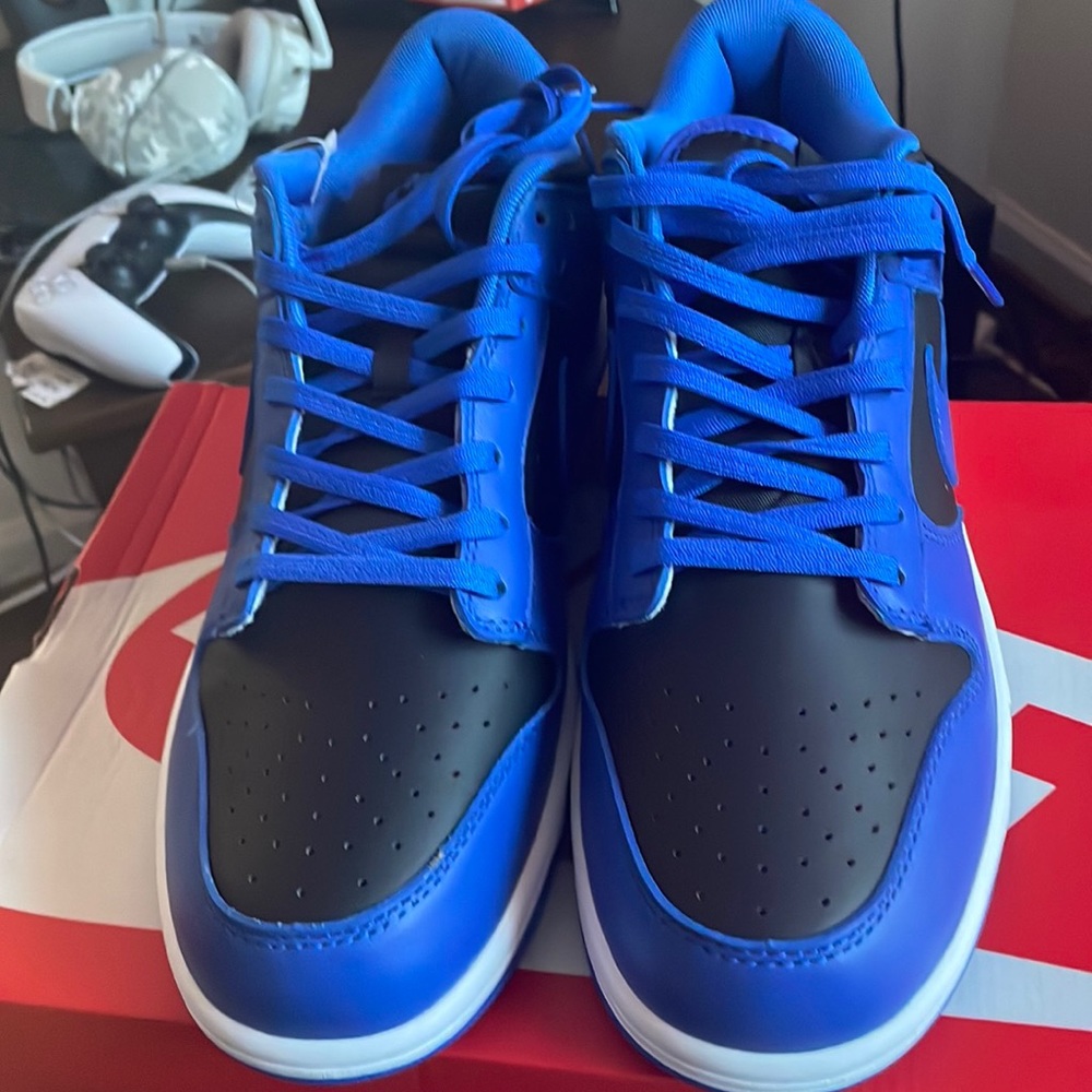 Royal nike dunks